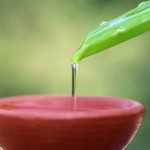 30+ Aloe Vera Juice For Weight Loss Fat Burning